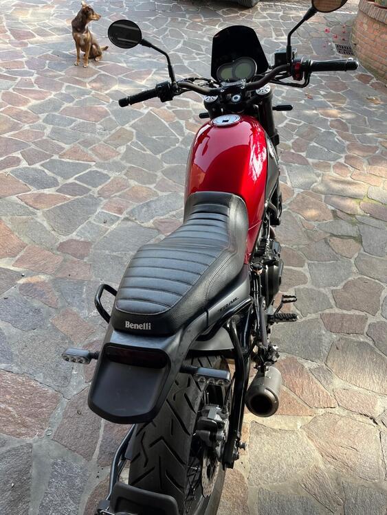 Benelli Leoncino 500 Trail ABS (2017 - 20) (4)