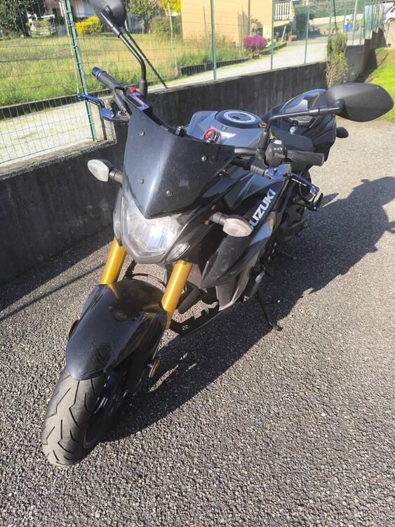 Suzuki GSX S 750 Yugen (2018 - 20) (5)