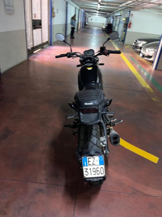 Benelli Leoncino 500 Trail (2021 - 24) (2)