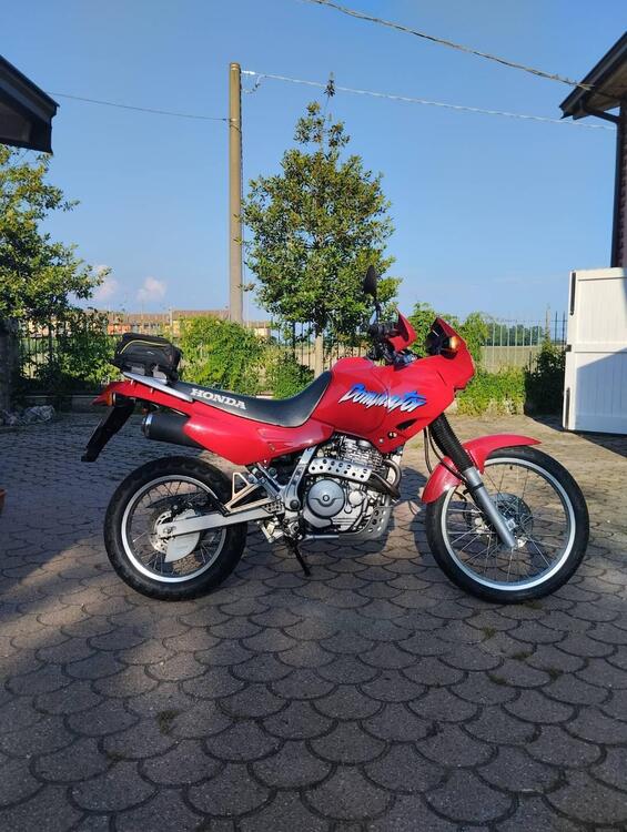 Honda NX 650 DOMINATOR