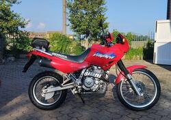 Honda NX 650 DOMINATOR d'epoca