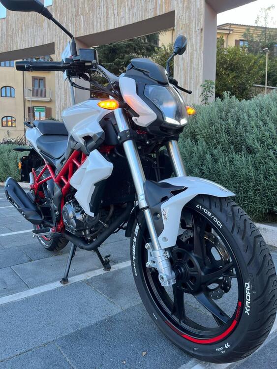 Benelli BN 125 (2018 - 20) (3)