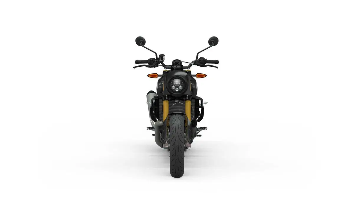 Indian FTR 1200 FTR 1200 R Carbon (2021 - 25) (7)