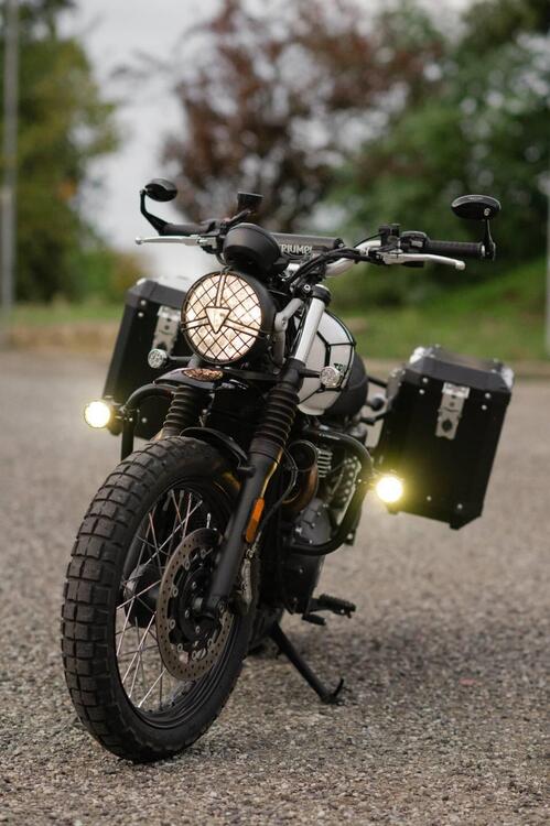 Triumph Street Scrambler 900 (2019 - 20)