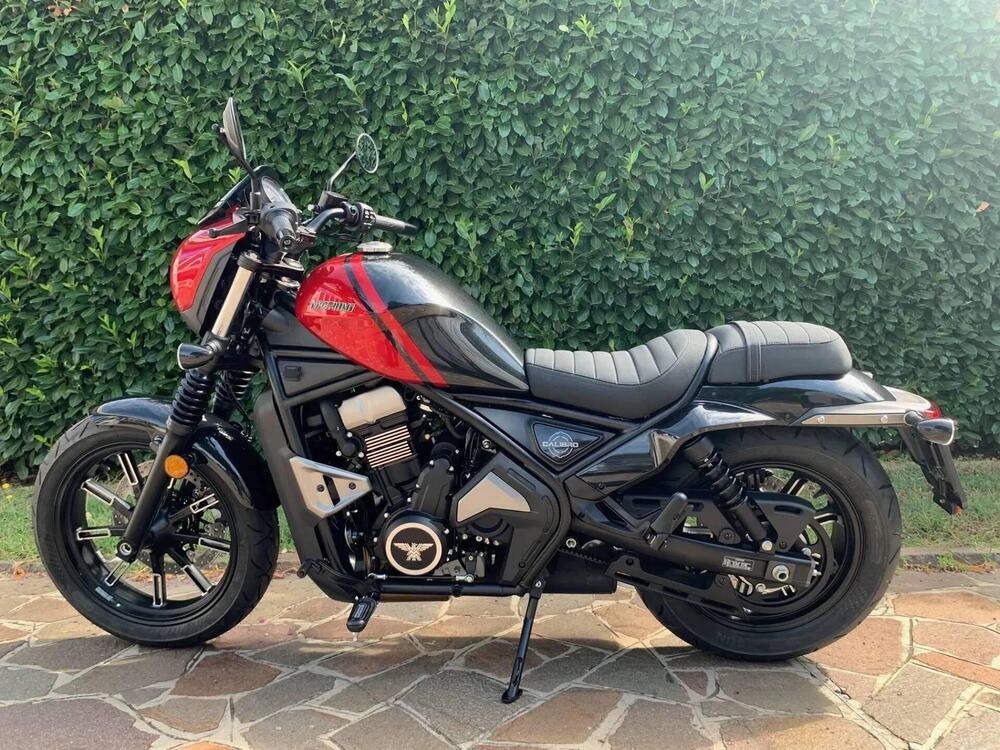 Moto Morini Calibro Custom (2024) (2)