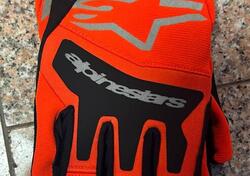 GIUANTI ALOINESTARS Alpinestars