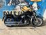 Harley-Davidson Softail Standard (2021 - 24) (7)