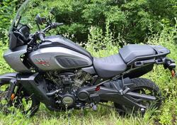 Harley-Davidson Pan America 1250 (2020 - 24) usata