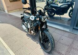 Ducati Scrambler 800 Icon (2021 - 22) usata