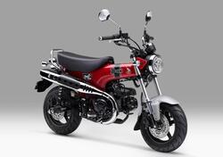 Honda Dax 125 (2023 - 24) nuova