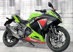 Kawasaki Ninja 300 ABS (2012 - 16) usata