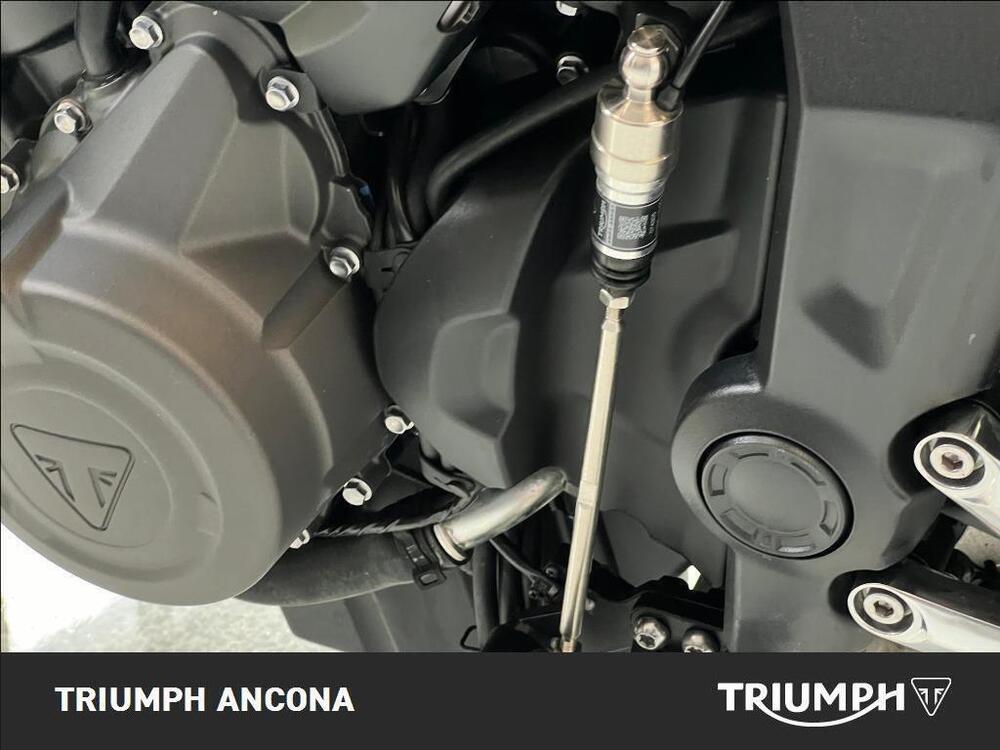 Triumph Trident 660 (2021 - 24) (4)