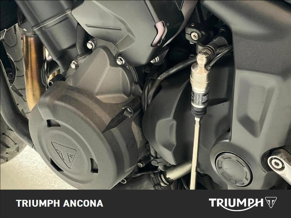 Triumph Trident 660 (2021 - 24) (2)