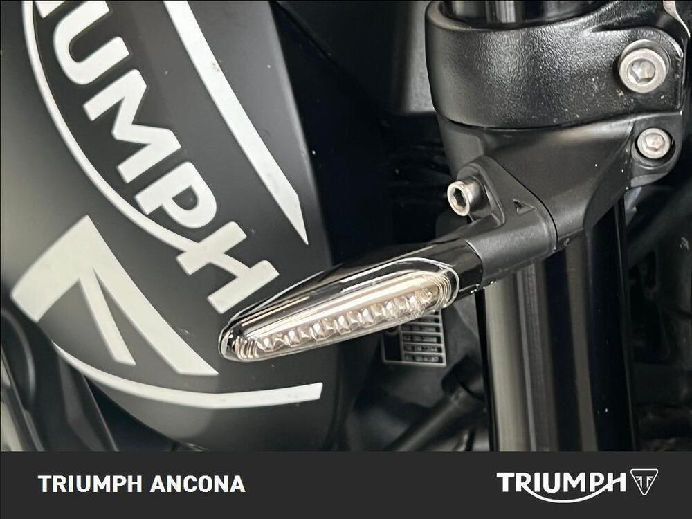 Triumph Trident 660 (2021 - 24) (4)