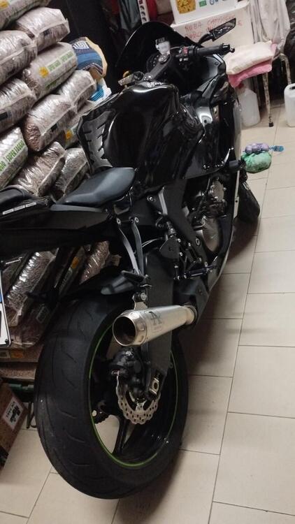 Kawasaki Ninja 636 ZX-6R (2019 - 20) (2)