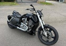 Harley-Davidson 1250 V-Rod Muscle (2009 - 17) - VRSCF usata