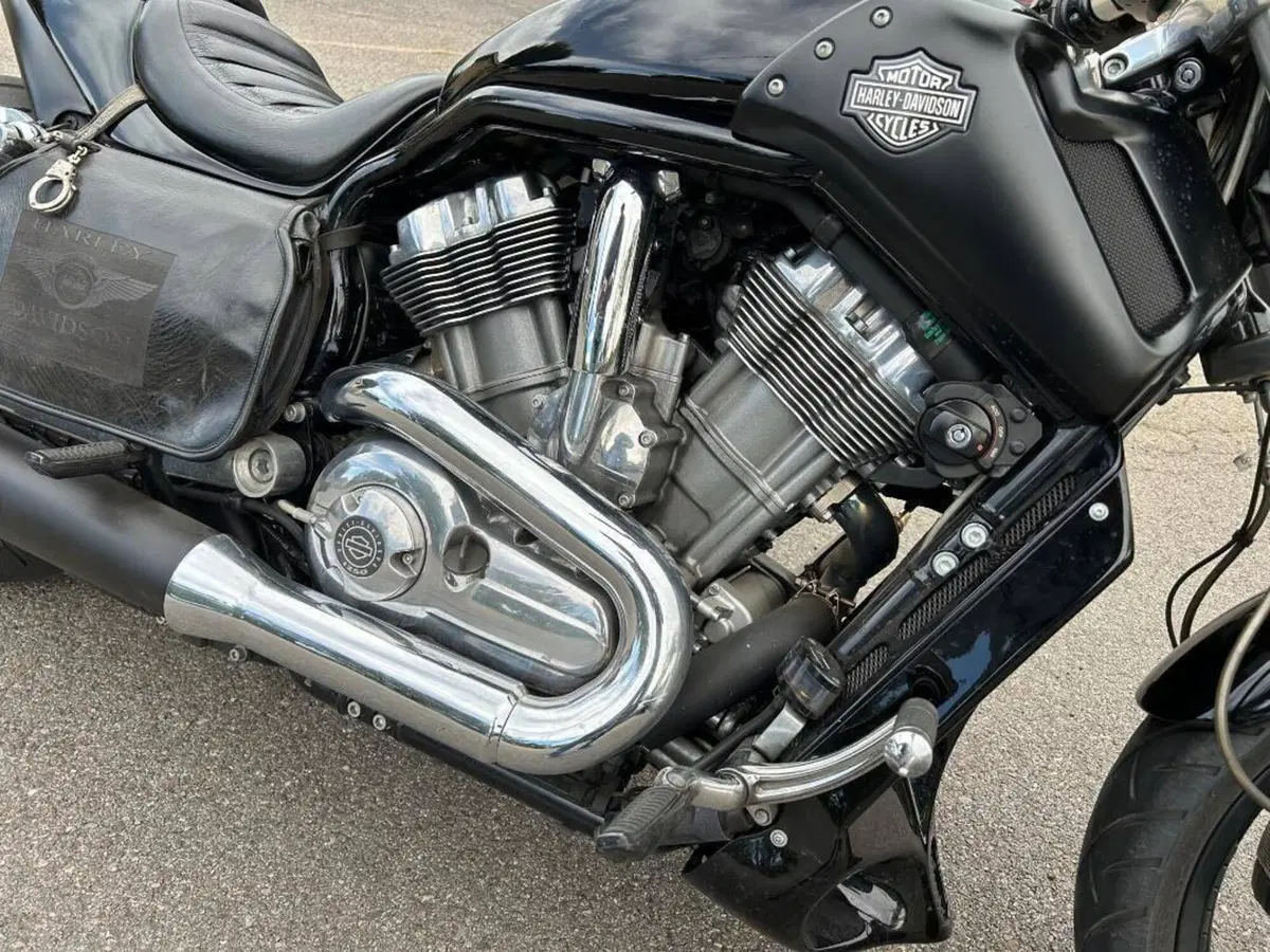 Harley-Davidson 1250 V-Rod Muscle (2009 - 17) - VRSCF (4)
