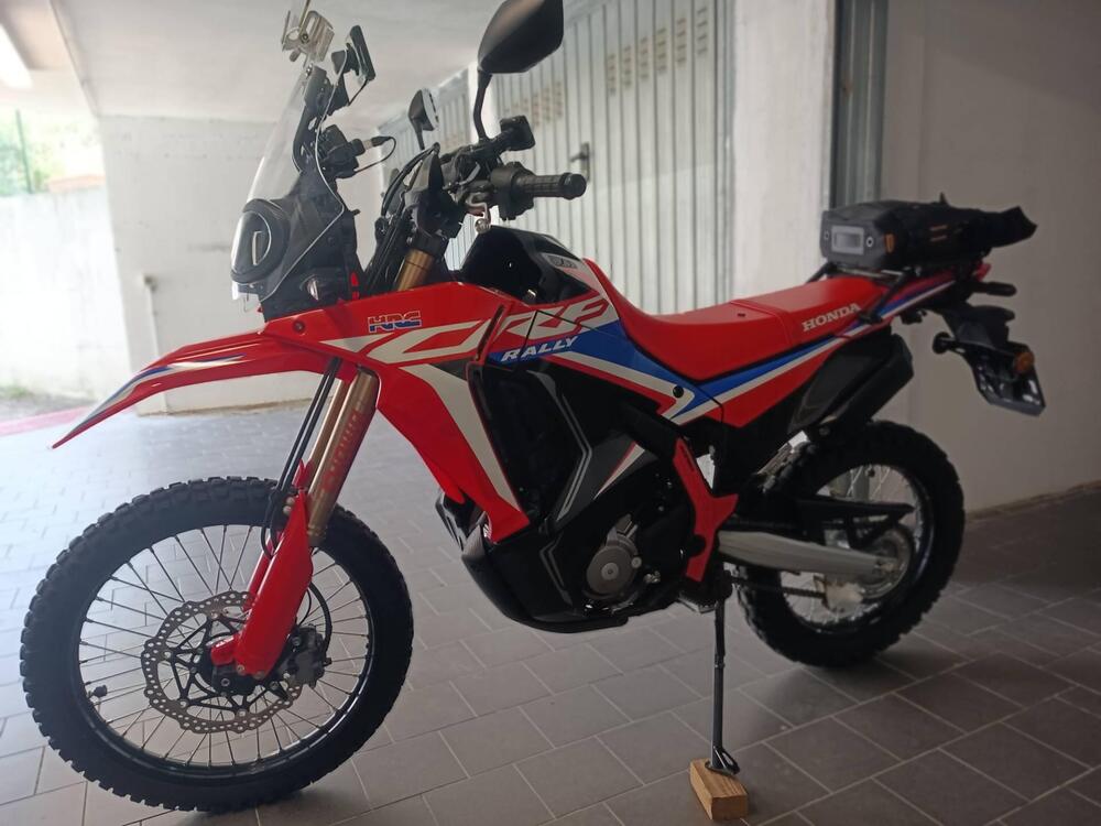 Honda CRF 300 Rally (2021 - 24) (3)