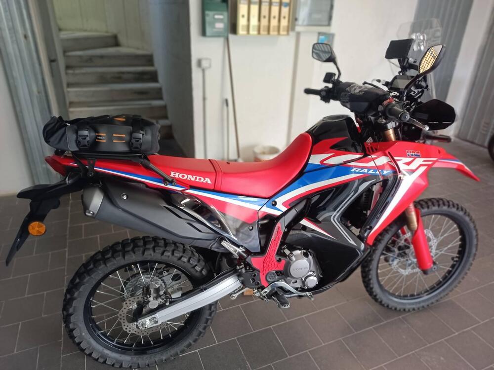 Honda CRF 300 Rally (2021 - 24) (4)