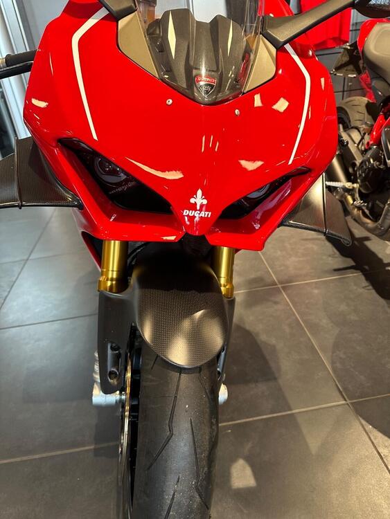 Ducati Panigale V4 R 1000 (2019 - 20) (4)