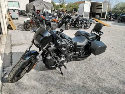 Harley-Davidson Nightster (2023 - 26) usata