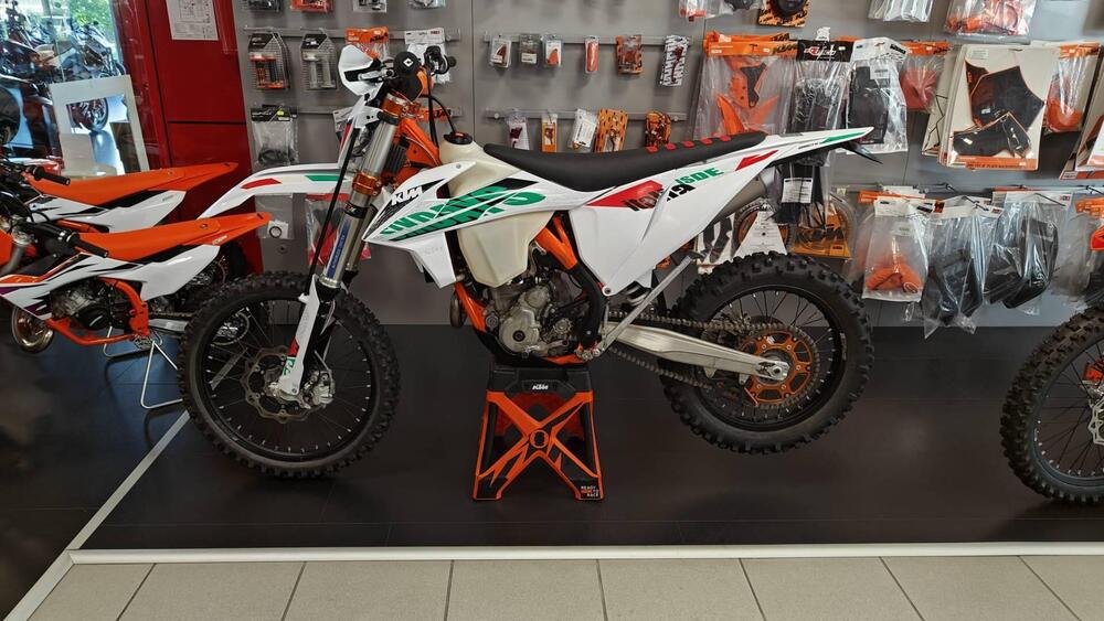 KTM EXC 250 F Six Days (2021) (4)