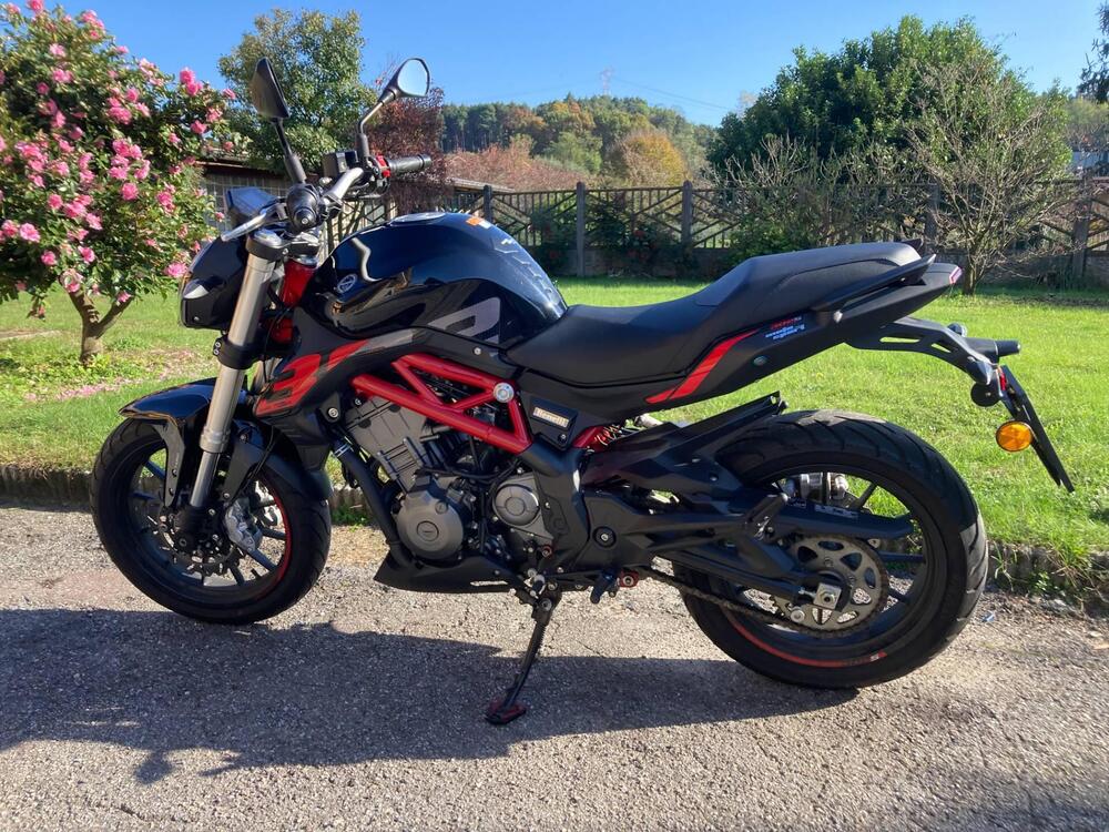 Benelli BN 302 S (2019 - 20) (2)