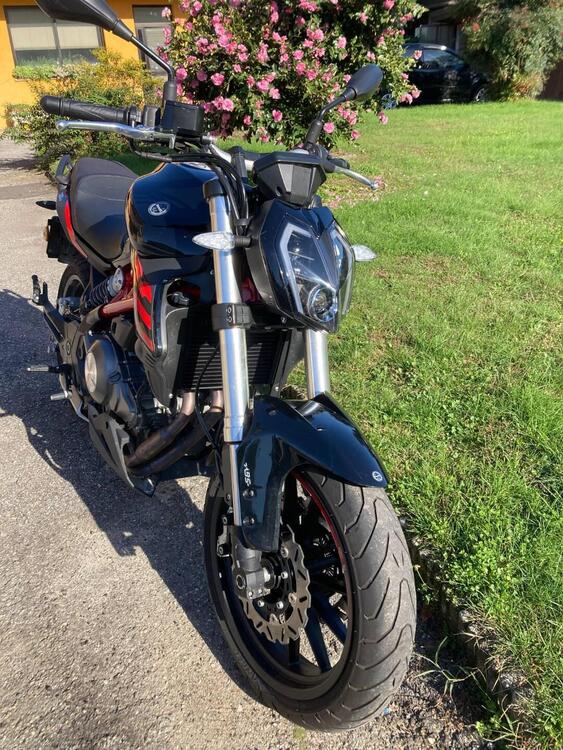 Benelli BN 302 S (2019 - 20) (4)