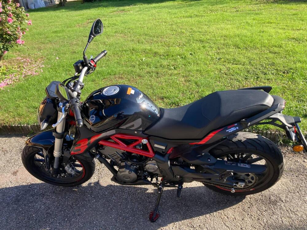 Benelli BN 302 S (2019 - 20) (5)