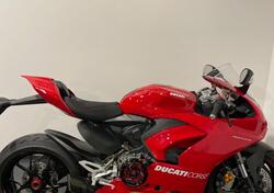 Ducati Panigale V2 (2021 - 24) usata