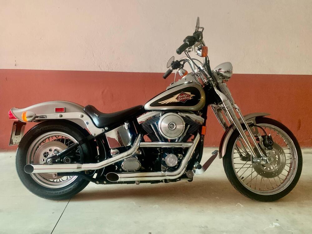 Harley-Davidson 1340 Springer (1990 - 98) - FXSTS (2)