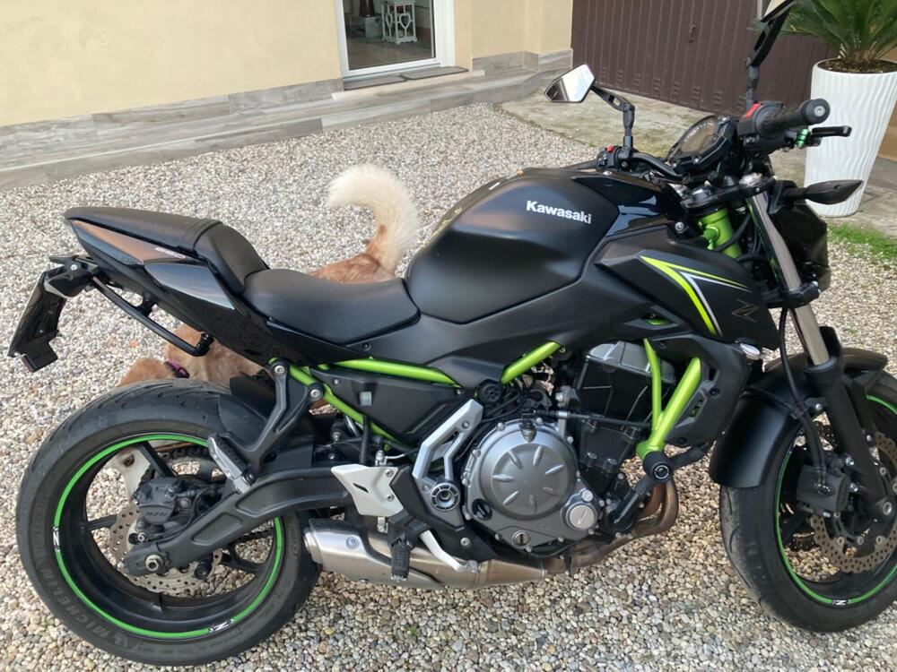 Kawasaki Z 650 (2017 - 19) (2)