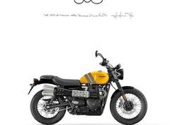 Triumph Scrambler 900 (2023 - 24) nuova