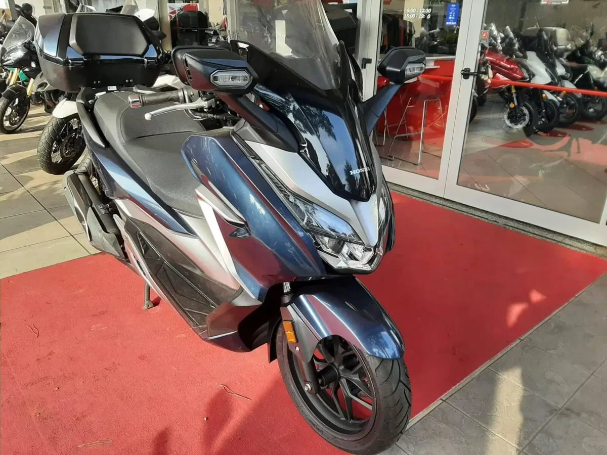 Honda Forza 300 Deluxe ABS (2018 - 20) (2)
