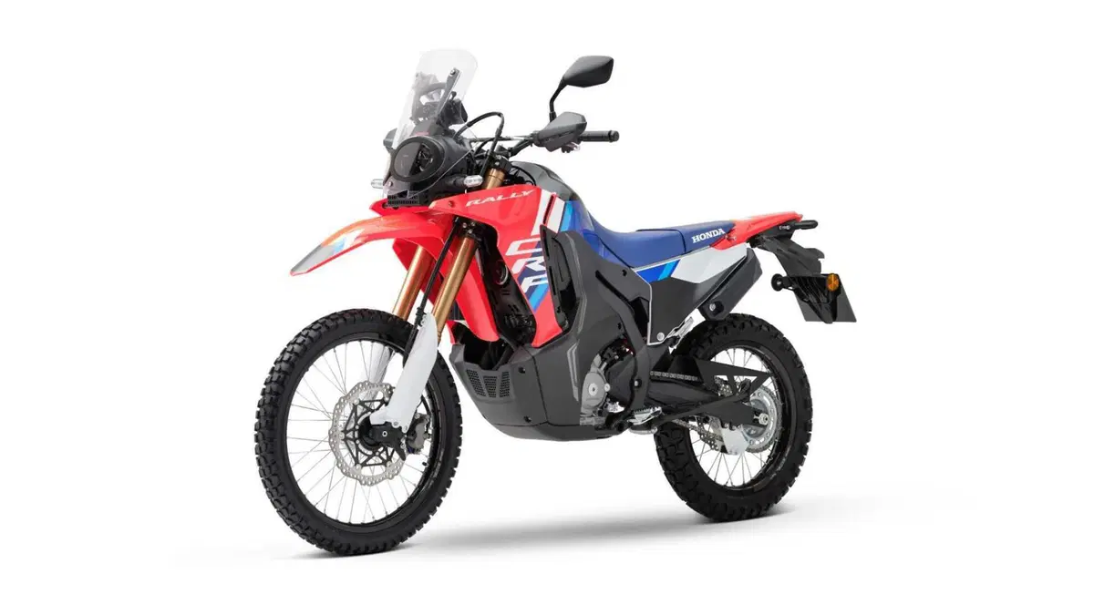 Honda CRF 300 Rally CRF 300 Rally (2025 - 26) (7)
