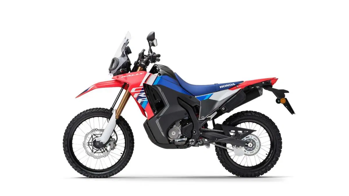 Honda CRF 300 Rally CRF 300 Rally (2025 - 26) (6)