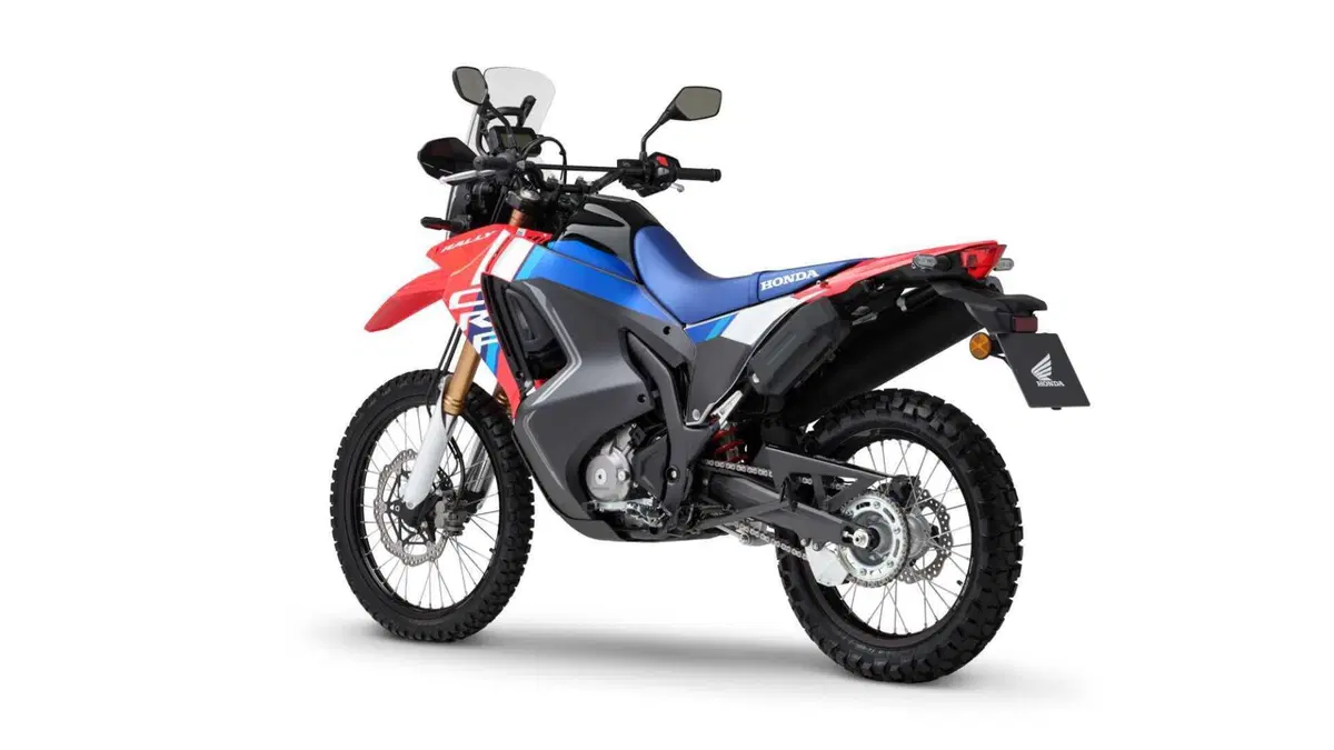 Honda CRF 300 Rally CRF 300 Rally (2025 - 26) (5)