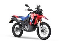 Honda CRF 300 Rally