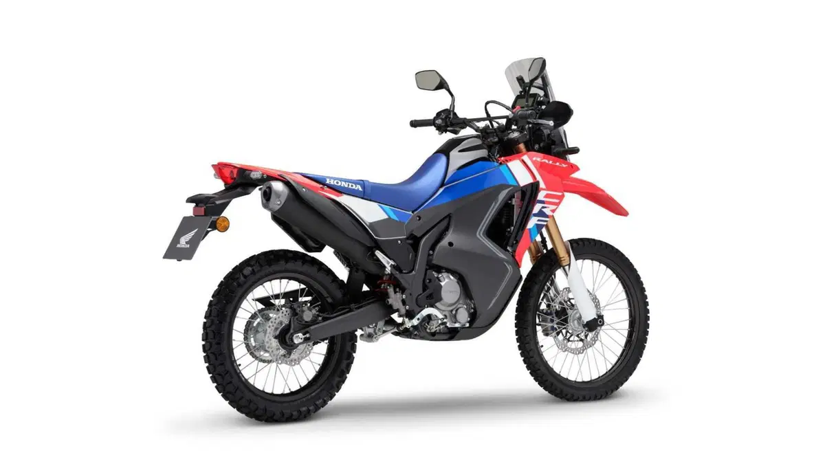 Honda CRF 300 Rally CRF 300 Rally (2025 - 26) (3)