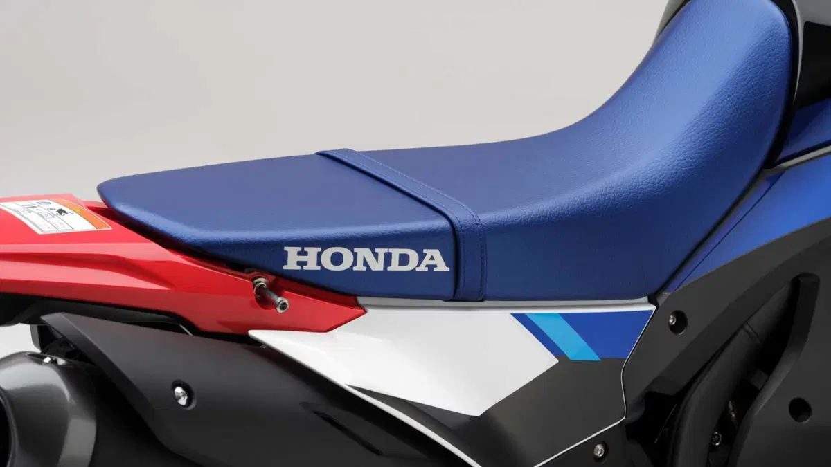 Honda CRF 300 Rally CRF 300 Rally (2025 - 26) (17)