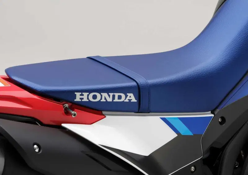 Honda CRF 300 Rally CRF 300 Rally (2025 - 26) (17)