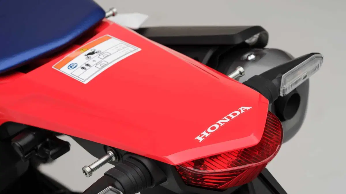 Honda CRF 300 Rally CRF 300 Rally (2025 - 26) (18)
