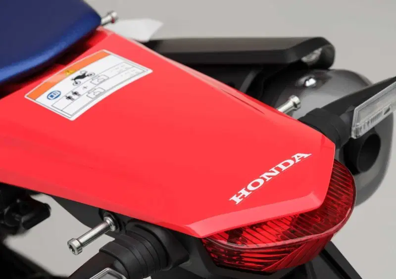 Honda CRF 300 Rally CRF 300 Rally (2025 - 26) (18)