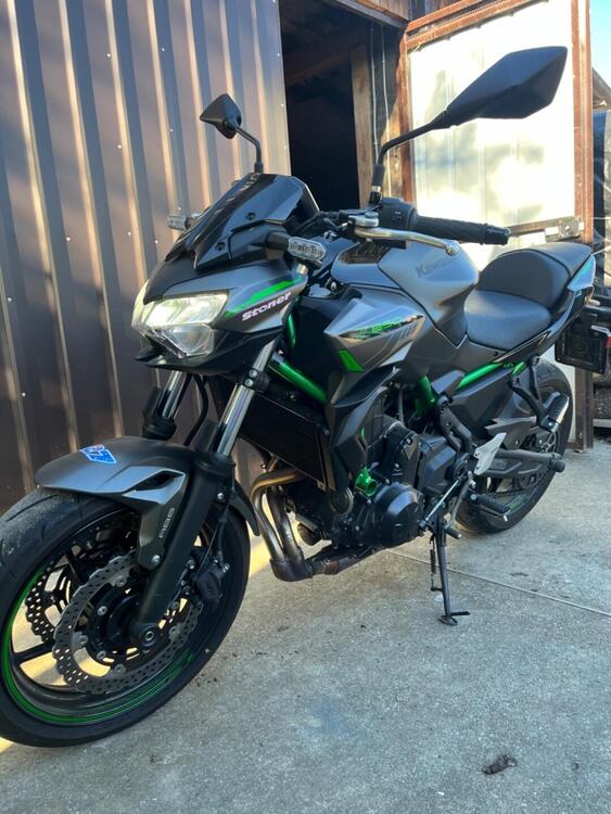 Kawasaki Z 650 Performance (2021 - 24)