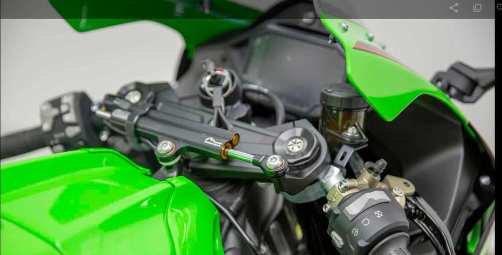 Kawasaki Ninja 1000 ZX-10R (2021 - 25) (5)