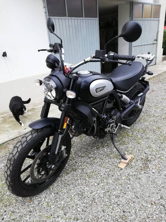 Ducati Scrambler 800 Icon Dark (2021 - 22) (3)