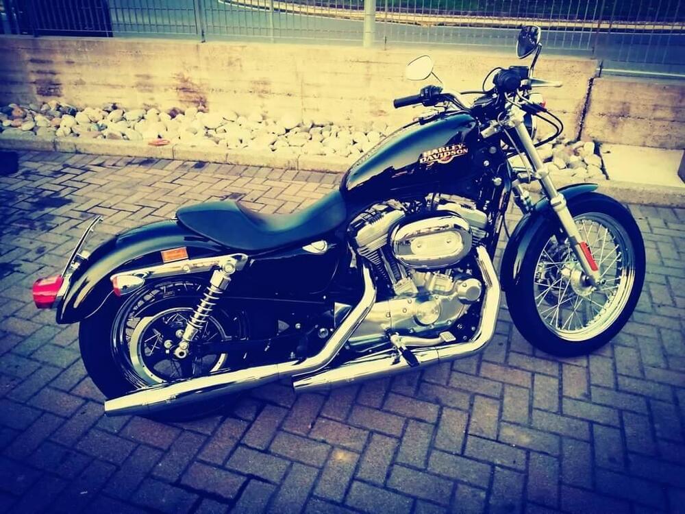 Harley-Davidson 883 Low (2008 - 12) - XL 883L (2)