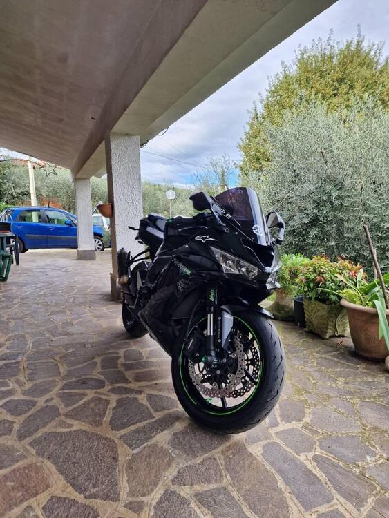 Kawasaki Ninja 636 ZX-6R (2019 - 20) (2)