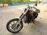 Harley-Davidson Sportster XL 883 Delux (8)