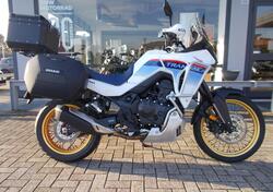 Honda Transalp XL750 (2023 - 24) usata